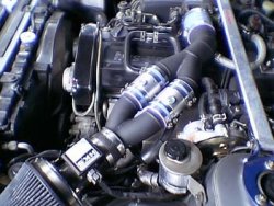IMGA6572.JPG