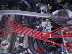IMGA6851 (Custom).JPG