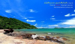 G4826035-8.jpg
