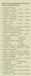 korsorbbj6.jpg