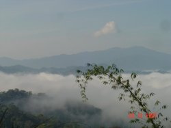DSC08982_resize.JPG