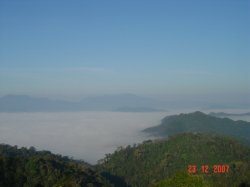 DSC08960_resize.JPG