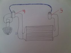 IMG00671-20120713-1135.jpg