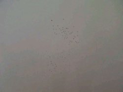 IMG-20120723-WA006.jpg
