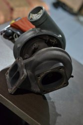 _DSC0113.JPG