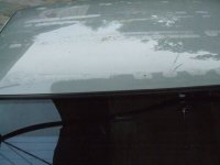 DSCF8096.jpg