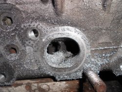 DSCN0780.jpg