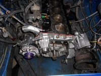 DSCN1049.jpg