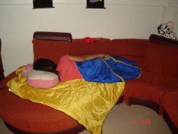 pig 067_resize.jpg