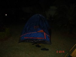 pig 114_resize.jpg