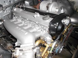 DSCN1529.jpg