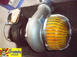P1290656 (Medium).jpg