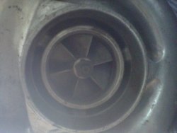 IMG-20130103-00073.jpg