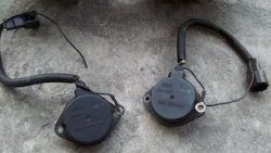 IMG_20130207_151728.jpg