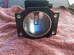 5 (Small).jpg