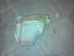 1385541_559452994128022_360174633_n.jpg