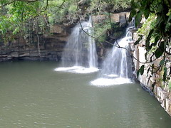 pix.0193_resize.jpg