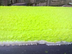 281120122259.jpg