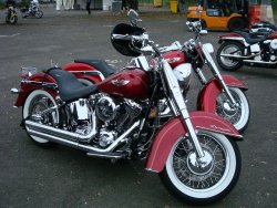 DSC00787.jpg