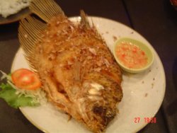 DSC01970 (Small).JPG