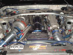 DSC00990.gif