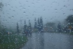 DSC06482_resize.JPG
