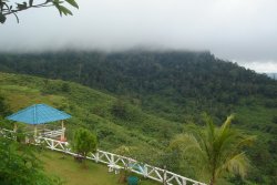 DSC06509_resize.JPG