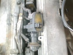 IMG004-1.jpg