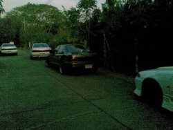 15022009(010).jpg