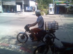ภาพ087.jpg