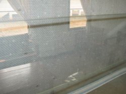 Resize of IMG_0777.jpg