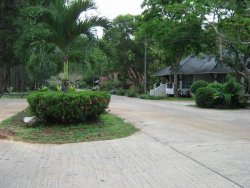 Resize of IMG_0799.jpg