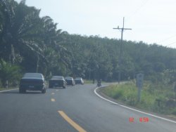DSC00333.JPG
