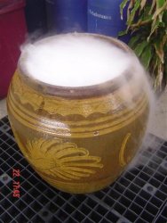 DSC09937 (Small).JPG