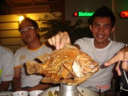 pig 069_resize.jpg