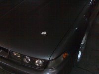 Pix no.020.jpg
