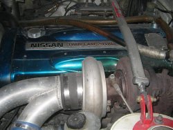 IMG_0073.jpg