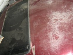 IMG_1949.jpg