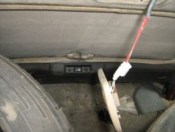 IMG_1952.jpg
