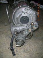 DSCN7455.jpg