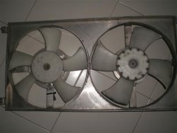 CIMG0160 (Small).JPG