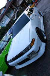 IMG_2403 (Medium).jpg
