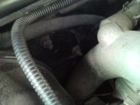 SNC00437.jpg