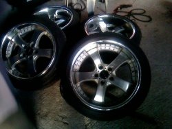 IMG0058A.jpg
