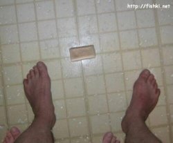 22636.jpg