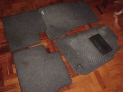 DSC08013.jpg