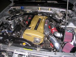 IMG_4721.JPG