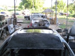 IMG_0313.JPG