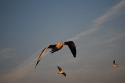 DSC_0327_resize.JPG
