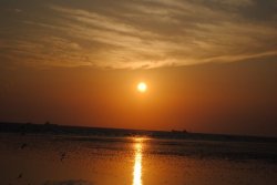 DSC_0363_resize.JPG